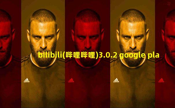 bilibili(哔哩哔哩)3.0.2 google play版